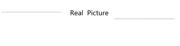 Dresses for Women 2024 New Skew Collar Full Sleeve Solid Sheath Package Hips Mid Calf Professional African Business Work Dress