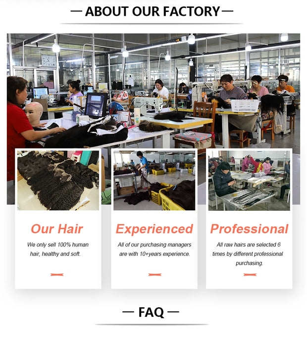 13*6 HD Lace Frontal Wig Human Hair Wigs Curly Wig Full Lace Front Water Wave HD Transparent Lace Frontal Wig 5*5 HD Closure Wig