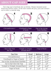 250% Highlight Wigs HD Lace Front Full Lace Frontal Wigs Curly Water Wave Wigs 13x6 HD Lace Frontal Human Hair Wigs Melt Skins